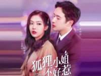 Miss Fox (ลวงรักร้ายยัยจิ้งจอก)