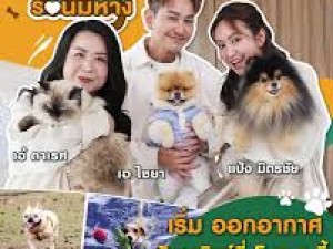 Pet Planet (รักนี้มีหาง) 